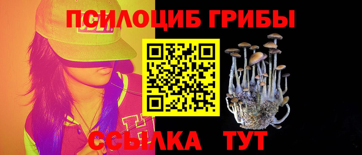 Малоярославец  Псилоцибиновые грибы Magic Shrooms  Вход с VPN 