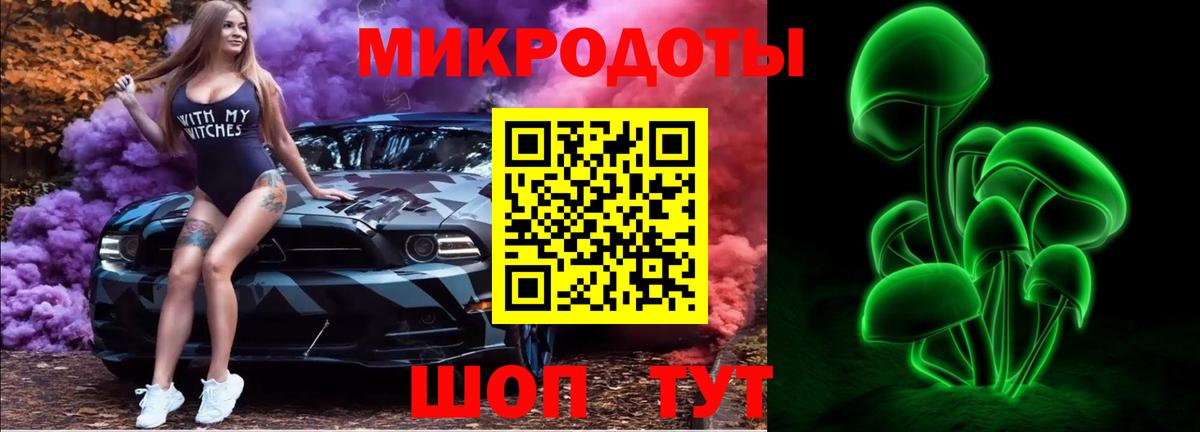 Псилоцибиновые грибы Cubensis Малоярославец
